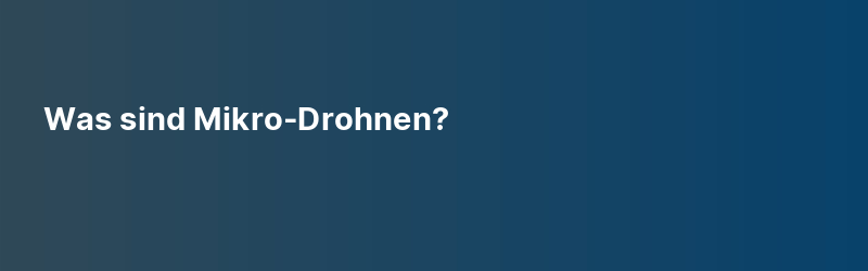 Was sind Mikro-Drohnen?