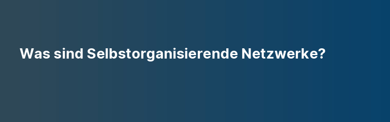 Was sind Selbstorganisierende Netzwerke?